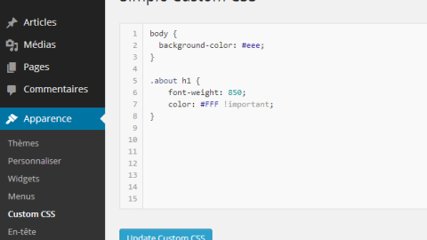 style css dans wordpress