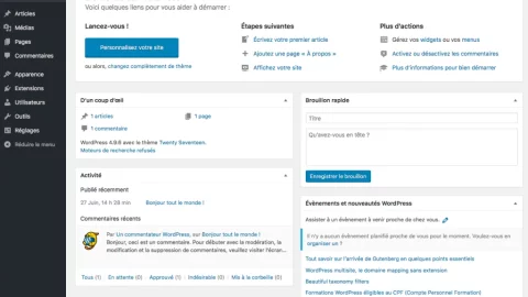 interface de wordpress
